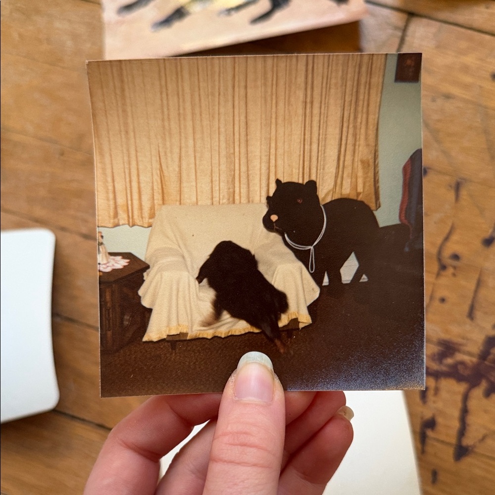 Vintage Photo Collection - Picture 5 of 12